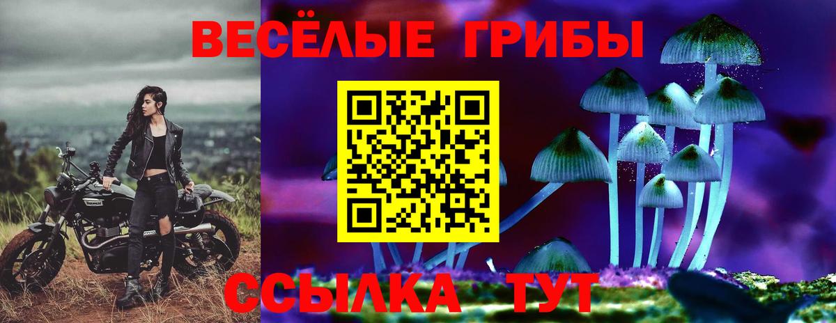 Псилоцибиновые грибы прущие грибы Семёнов