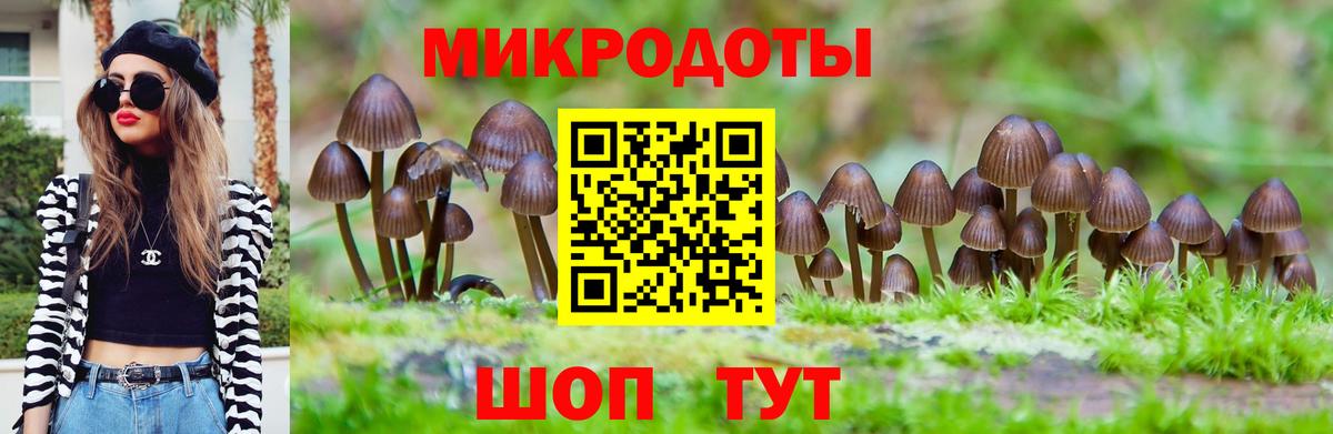 наркотики  Вход с VPN  Семёнов  Псилоцибиновые грибы мицелий 